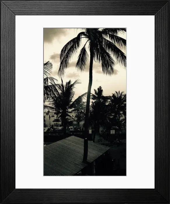 Framed Print : Bali palms viewed from Legian Beach Hotel Framed Print : Bali palms viewed from Legian Beach Hotel