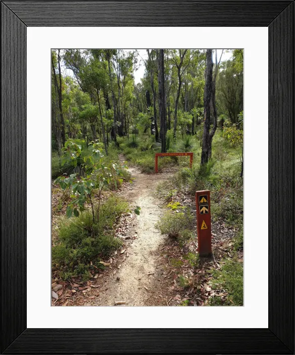 Framed Print : Hiking near Mount Cooke, Western Australia Framed Print : Hiking near Mount Cooke, Western Australia