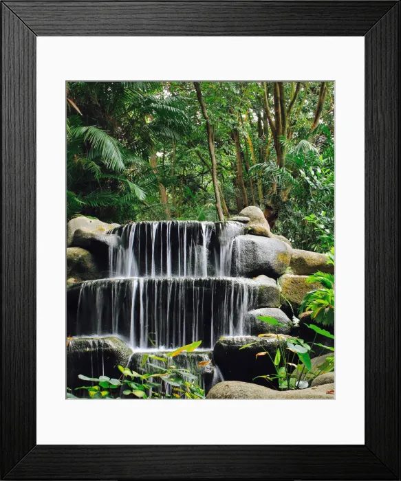 Framed Print : Nature Walk Surprise, Singapore