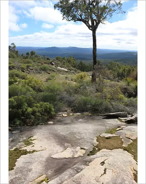 Top of Mt Cooke Western Australia