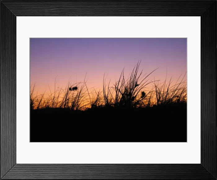Framed Print : Silhouetted Grass at Sunset Framed Print : Silhouetted Grass at Sunset