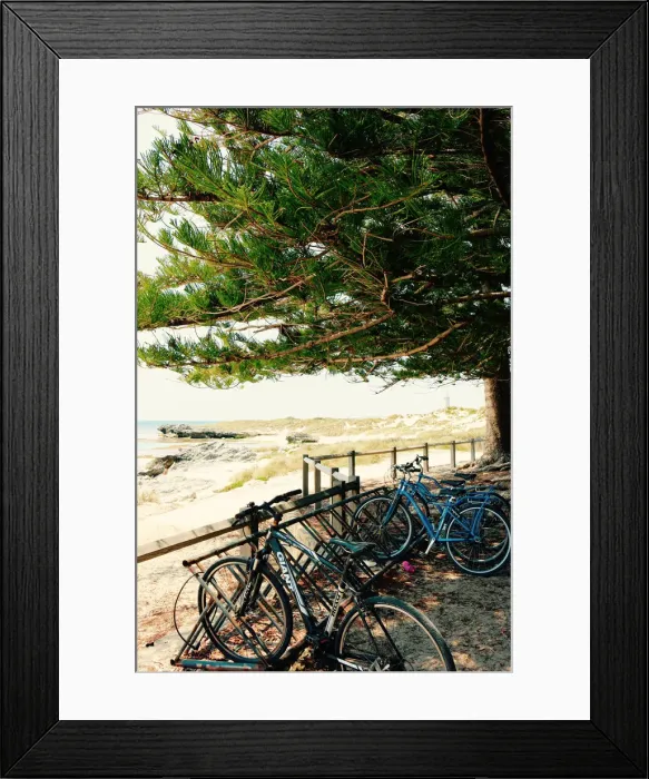 Framed Print : A typical scene on Rottnest Island near Perth Western Australia
