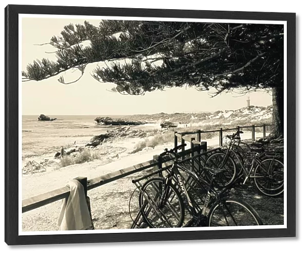 Rottnest Island Scene Vintage Landscape