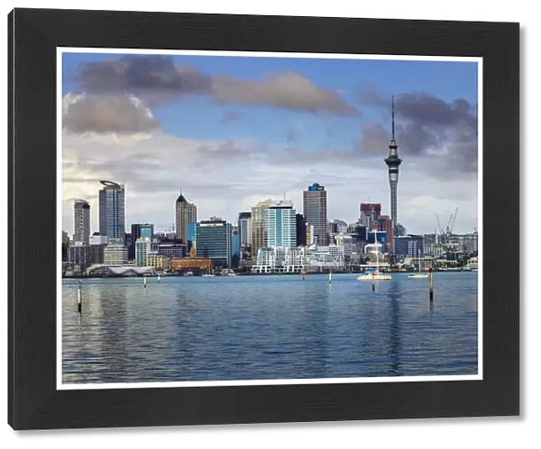 Auckland City Skyline And Harbour