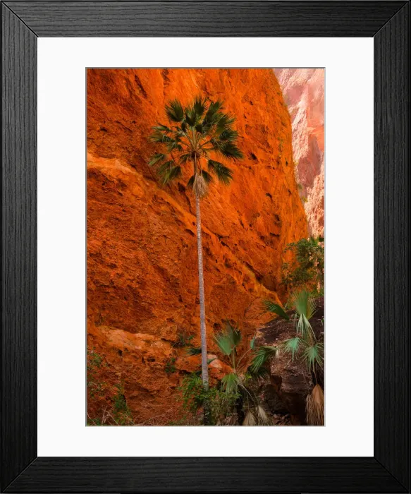 Framed Print : Purnululu (Bungle Bungles) National Park, Western Australia, Australia Framed Print : Purnululu (Bungle Bungles) National Park, Western Australia, Australia