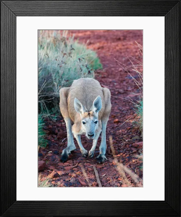 Framed Print : Karijini National Park, Western Australia, Australia Framed Print : Karijini National Park, Western Australia, Australia