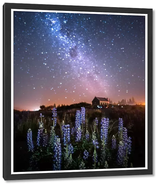 Church of The Good Shepherd and Milky Way with lupins blooming, Lake Tekapo, New Zealand