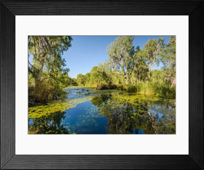 Framed Print : Millstream Chichester National Park, Western Australia, Australia Framed Print : Millstream Chichester National Park, Western Australia, Australia