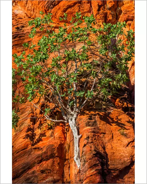 Limmen National Park, Northern Territory, Australia