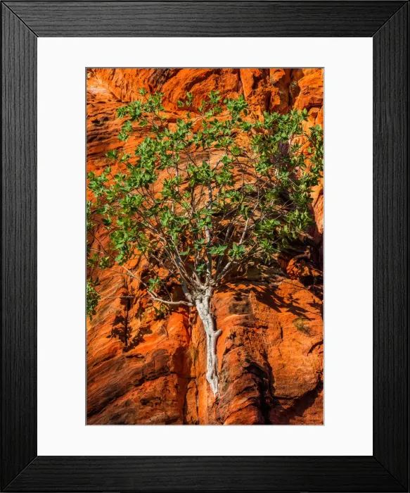Framed Print : Limmen National Park, Northern Territory, Australia Framed Print : Limmen National Park, Northern Territory, Australia