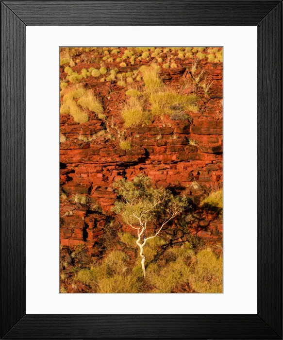 Framed Print : Karijini National Park, Western Australia, Australia Framed Print : Karijini National Park, Western Australia, Australia