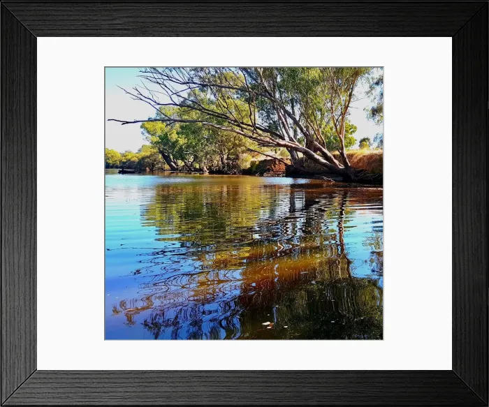 Framed Print : Riverbank Reflections