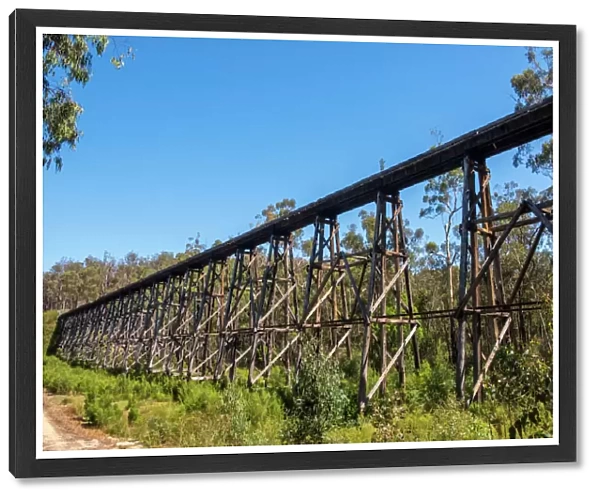 The Stony Creek Trestle Bridge near Nowa Nowa Victoria, Autralia