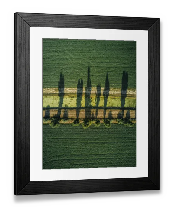 Framed Print : Aerial shot of tree shadows in an agricultural field, Tuscany, Italy Framed Print : Aerial shot of tree shadows in an agricultural field, Tuscany, Italy