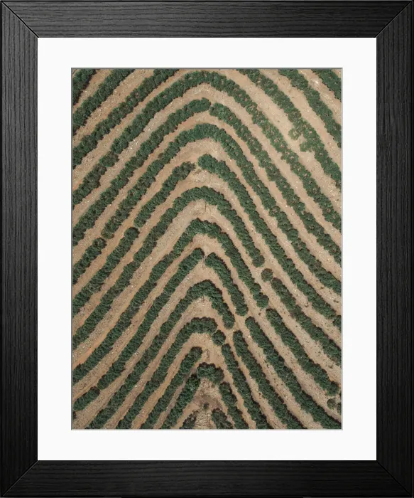 Framed Print : Agricultural patterns as seen from above, France Framed Print : Agricultural patterns as seen from above, France