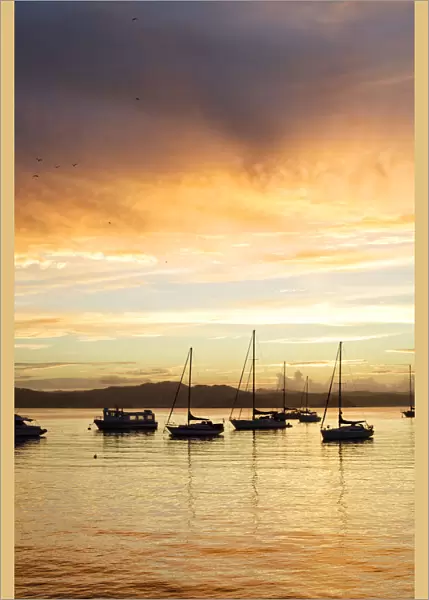 Boats and yachts moored at sunset in Russell, Bay of Islands, Northland, New Zealand
