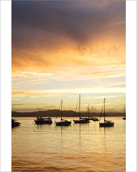Boats and yachts moored at sunset in Russell, Bay of Islands, Northland, New Zealand