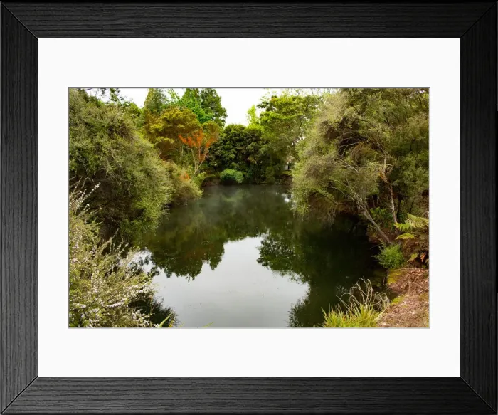 Framed Print : Kuirau Park Framed Print : Kuirau Park
