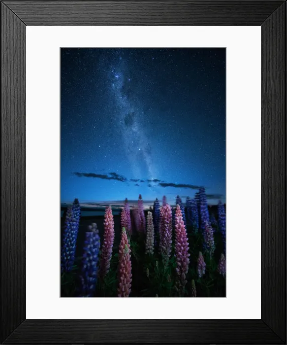 Framed Print : Night vire of Lupines field with Milky way