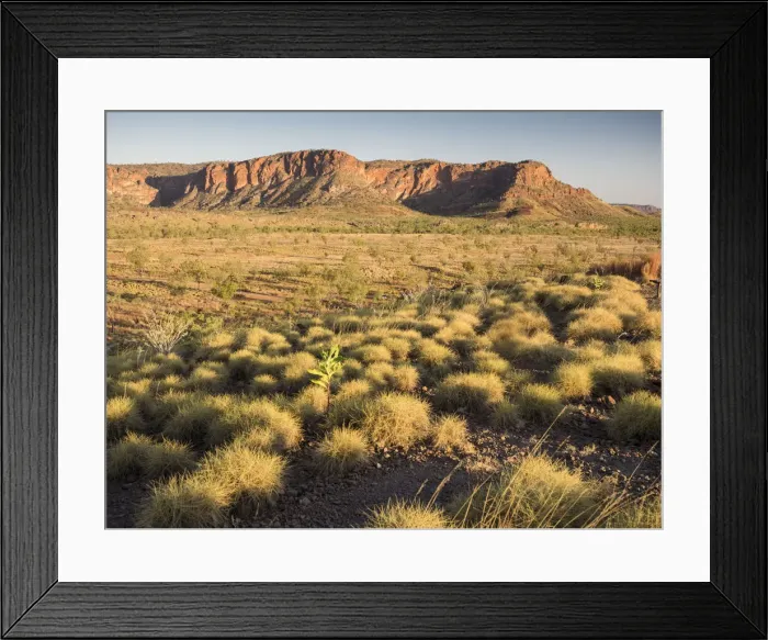 Framed Print : Bungle Bungle Range seen from Kungkalahayi Lookout, Purnululu National Park, Kimberley Framed Print : Bungle Bungle Range seen from Kungkalahayi Lookout, Purnululu National Park, Kimberley
