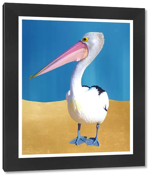 pelican world