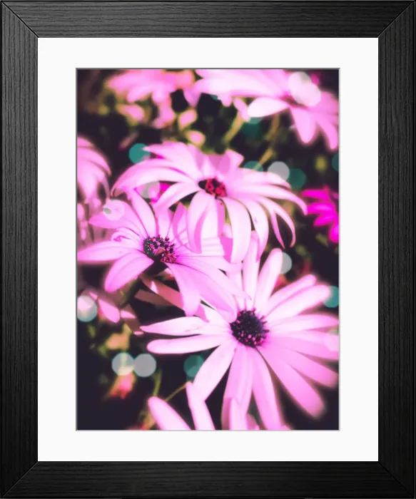 Framed Print : pink florals