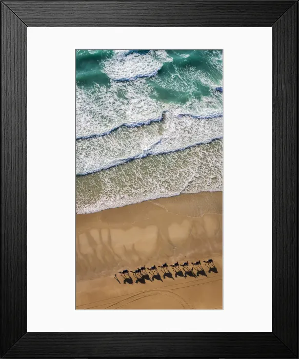 Framed Print : Camel Rides