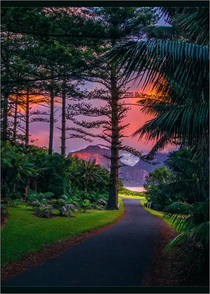 Late afternoon light, just near dusk, Lord Howe Island, New South Wales, Australia