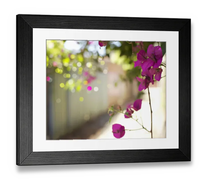 Framed Print : Flowers in city lane Framed Print : Flowers in city lane