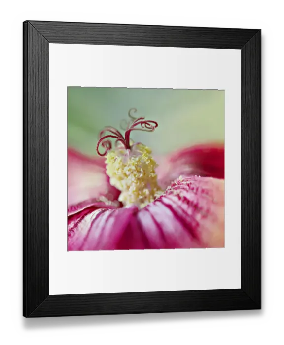 Framed Print : Light maker Framed Print : Light maker