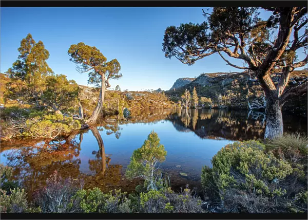 Tasmania wilderness at Cradle Mountain