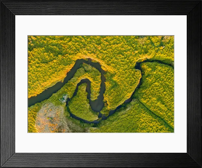 Framed Print : Environmental Conservation