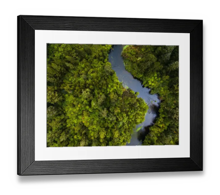 Framed Print : Aerial view of river flowing through dense forest Framed Print : Aerial view of river flowing through dense forest