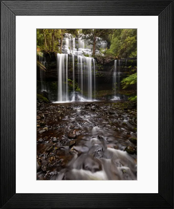 Framed Print : Russell Falls