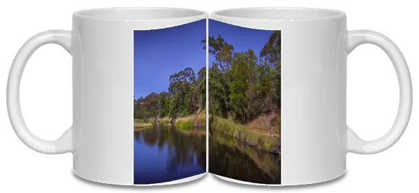 Omeo river, High Country, Victoria, Australia