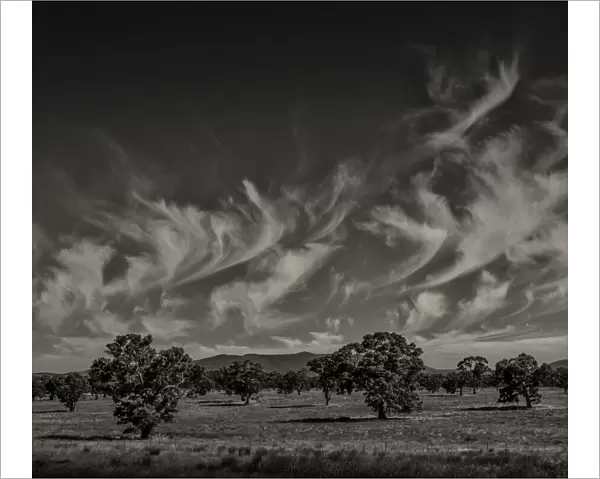 High Country cloudscape near Mansfield, Victoria, Australia