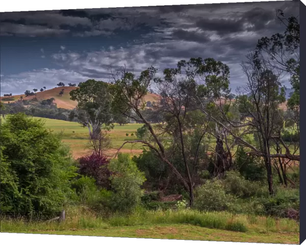 High Country scenery during summer, Mansfield district, Victoria, Australia