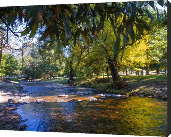 Harrietville and the river flowing through the parkland, Ovens valley, High Country