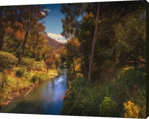 The Ovens river in summer, Bright, Ovens Valley, High Country, Victoria, Australia