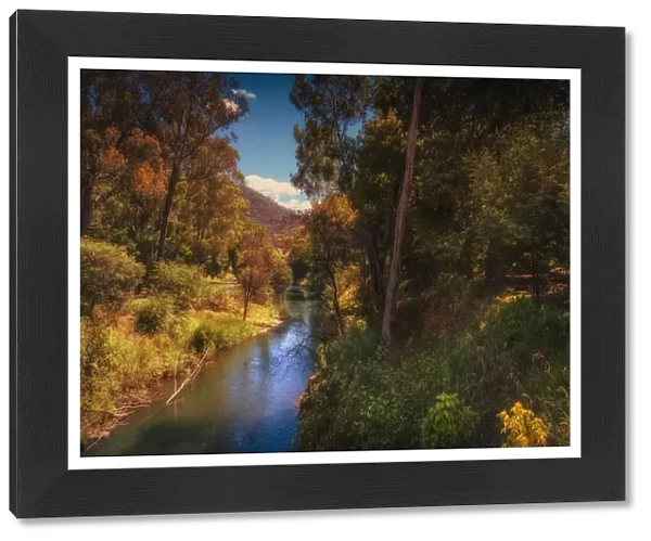The Ovens river in summer, Bright, Ovens Valley, High Country, Victoria, Australia