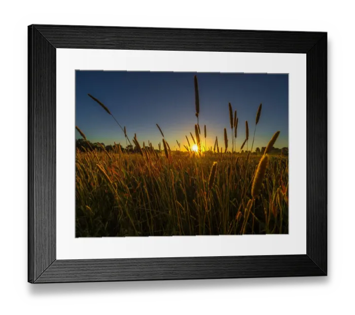 Framed Print : A colourful sunlit dawn, heralding a summers day at Braeside Park