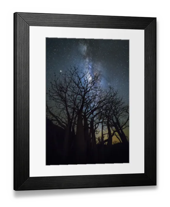 Framed Print : Milky way over boab tree
