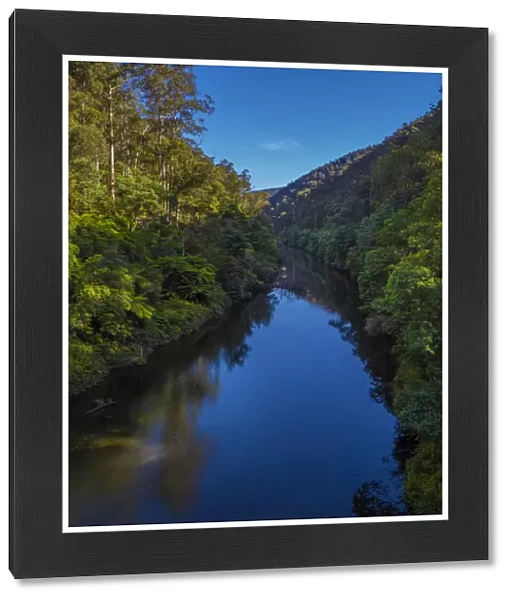 A scenic view of the Thomson river, Central Gippsland, Victoria