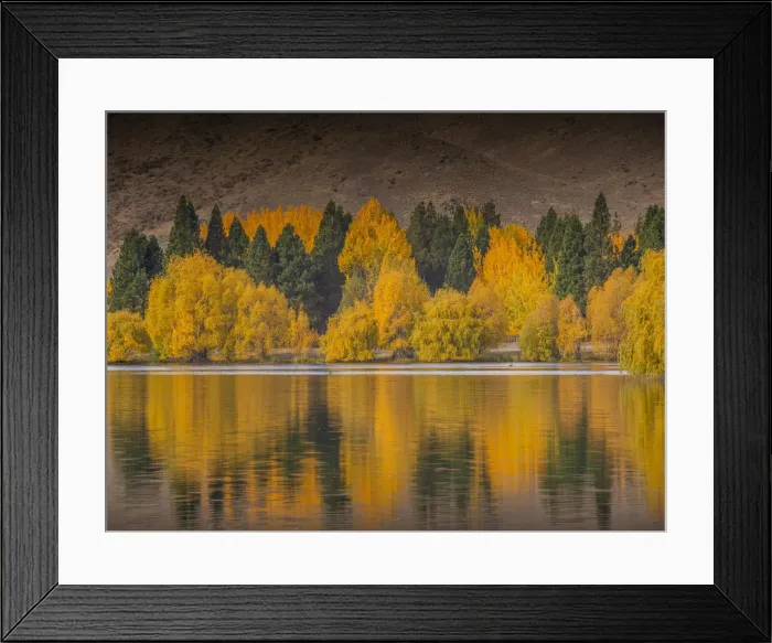 Framed Print : Autumn colours near Twizel, South Island, New Zealand Framed Print : Autumn colours near Twizel, South Island, New Zealand
