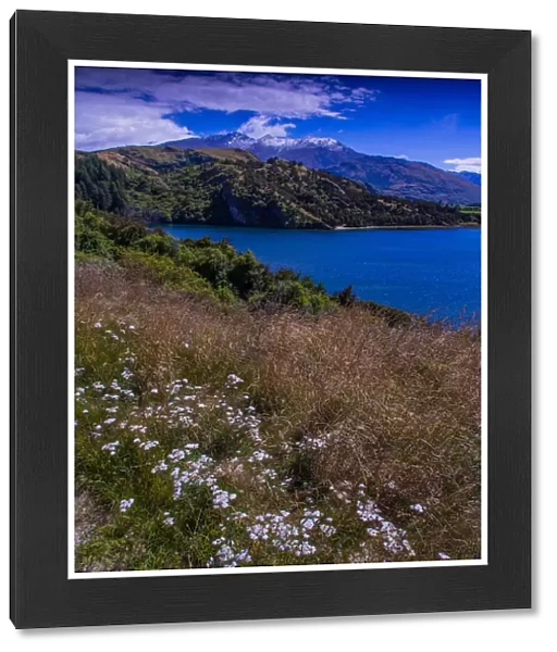 Summer viewpoint at Lake Wanaka, South Island New Zealand