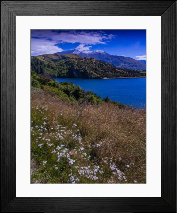 Framed Print : Summer viewpoint at Lake Wanaka, South Island New Zealand Framed Print : Summer viewpoint at Lake Wanaka, South Island New Zealand