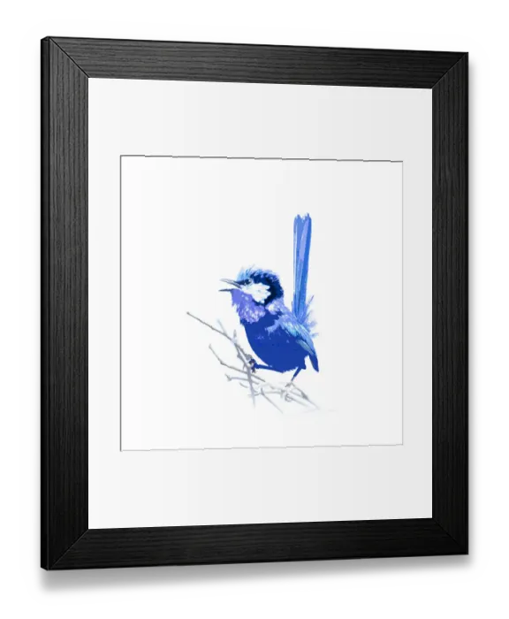 Framed Print : Fairy-wren art