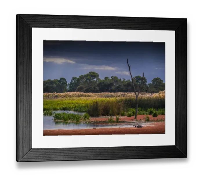 Framed Print : Braeside Park, Autumn, Victoria, Australia