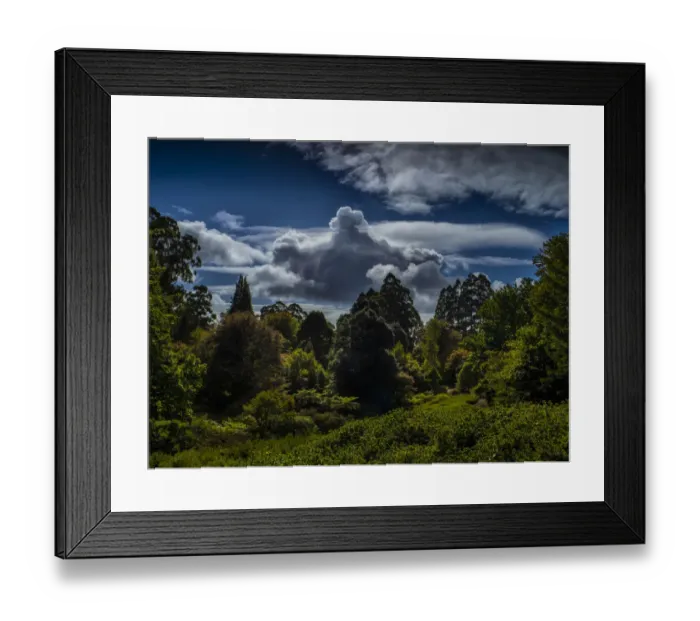 Framed Print : Autumn seasonal colours, Dandenong Ranges Botanical Gardens, Victoria, Australia Framed Print : Autumn seasonal colours, Dandenong Ranges Botanical Gardens, Victoria, Australia