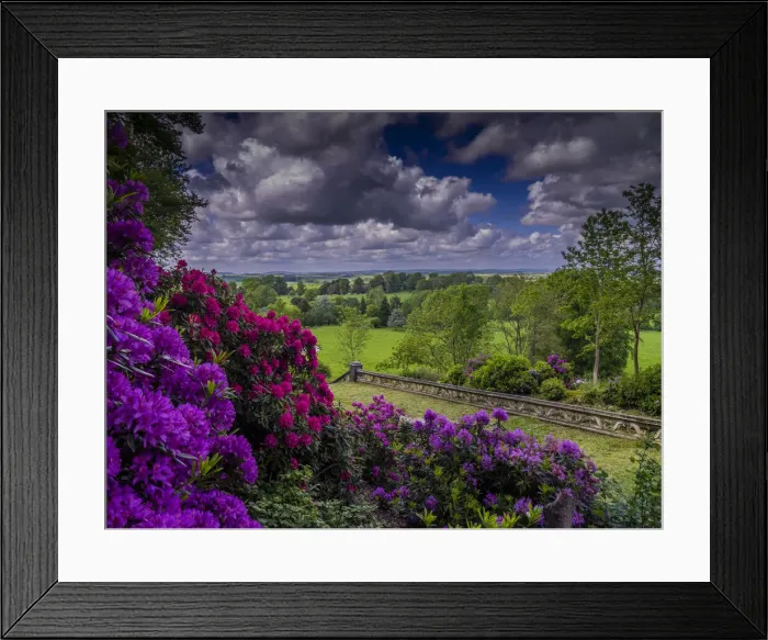 Framed Print : Highfield woodlands, Shropshire, England, United Kingdom